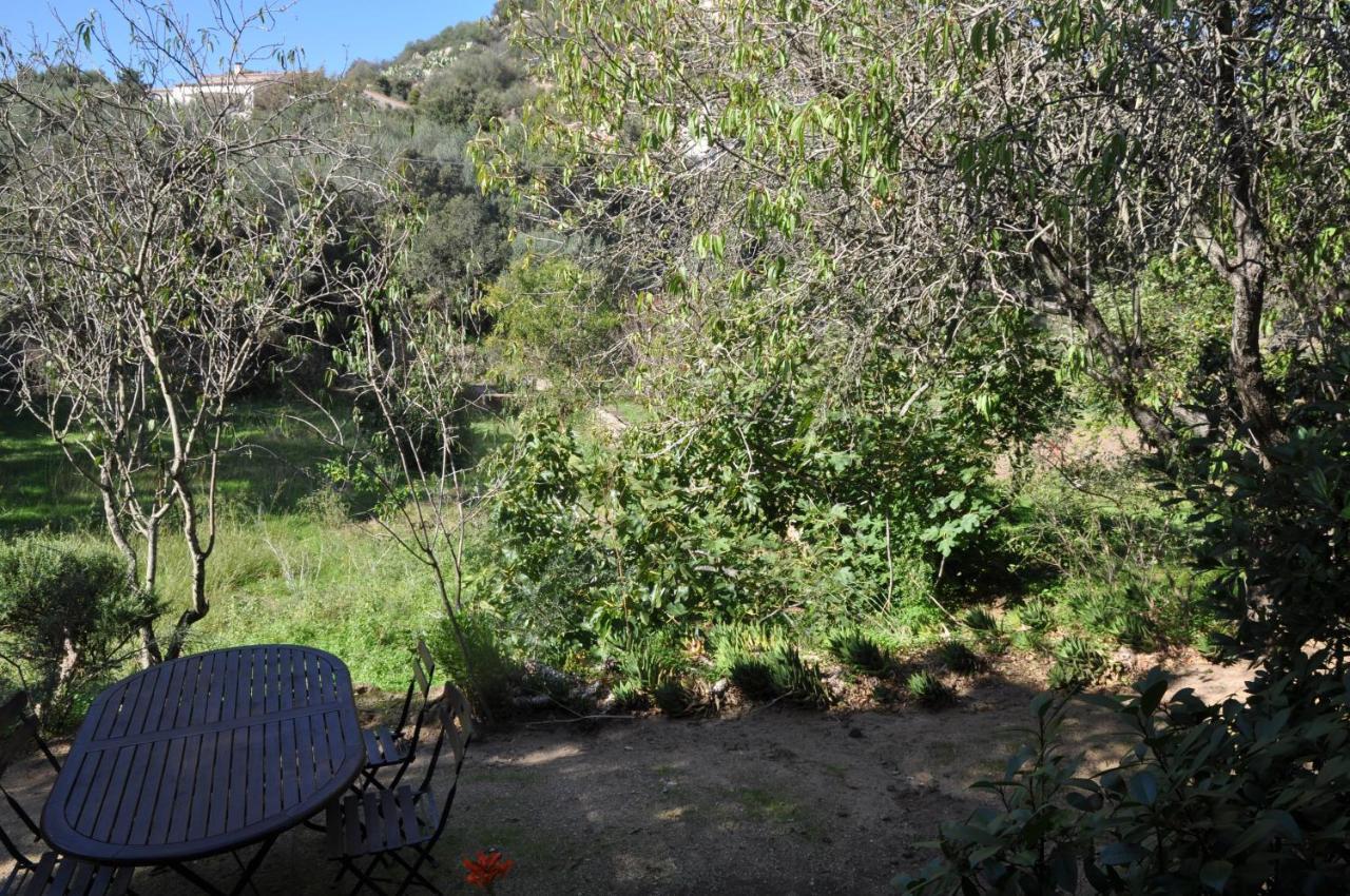 2Ba Domaine Malacucina Lumio Exteriér fotografie