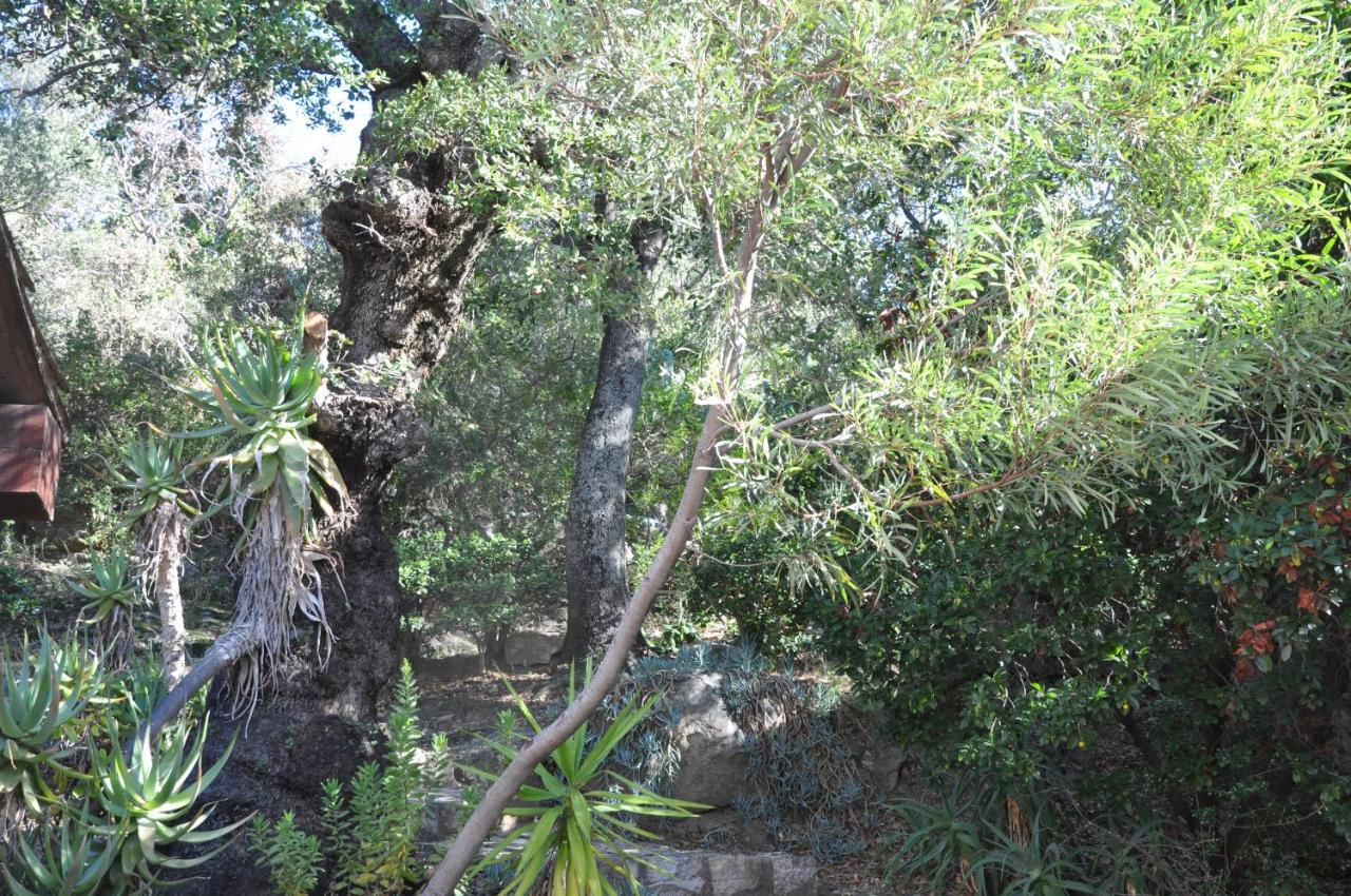 2Ba Domaine Malacucina Lumio Exteriér fotografie